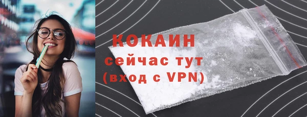 гашик Дмитриев
