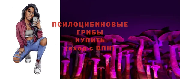 гашик Дмитриев