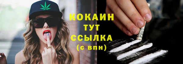 шишки Гусь-Хрустальный