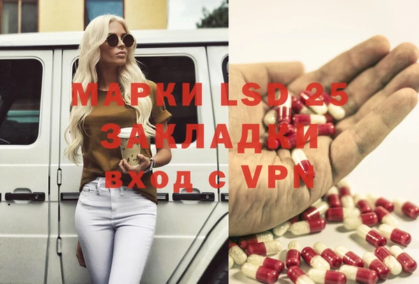 гашик Дмитриев