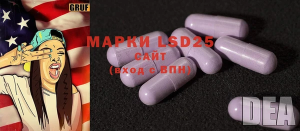 шишки Гусь-Хрустальный