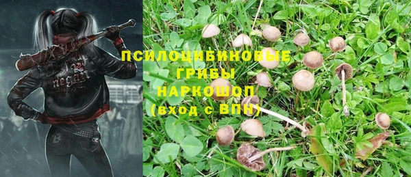 гашик Дмитриев