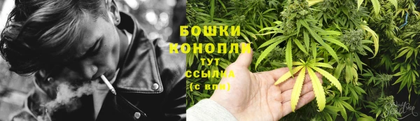 шишки Гусь-Хрустальный